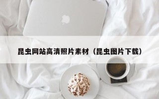 湘西昆虫网站高清照片素材（昆虫图片下载）